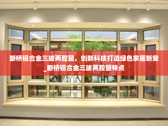 断桥铝合金三玻两腔窗，创新科技打造绿色家居新宠_断桥铝合金三玻两腔窗特点
